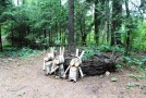 Территория санатория Виктория